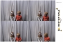 102291-strip.jpg